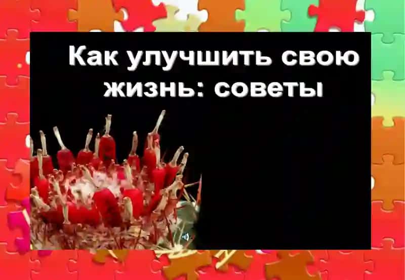 КАКТУС 3