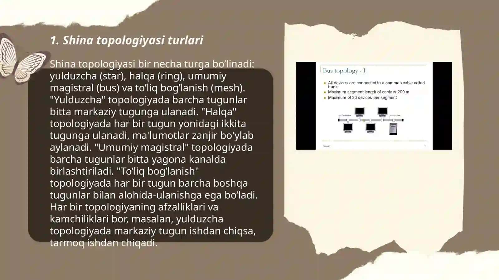 Shina topologiyasining taxlili 3