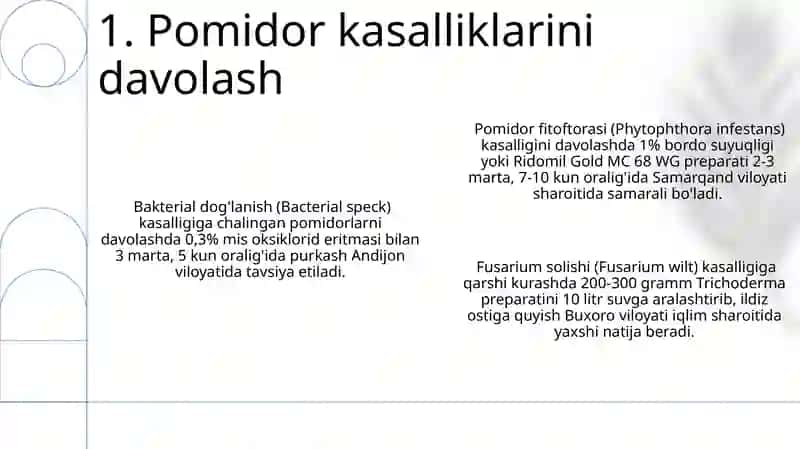 Pamidor kasalliklari 3