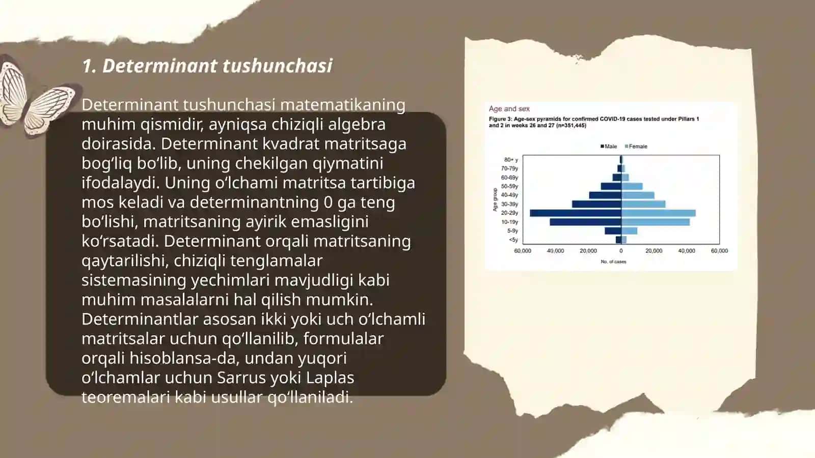Determinantlar, ularning xossalari va ularni hisoblash 3