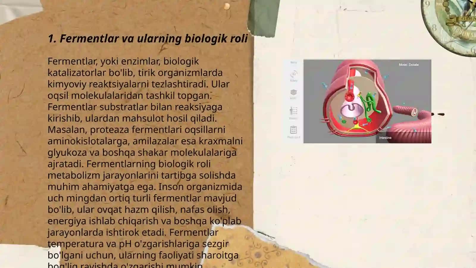 Fermentlar va ularning biologik roli 3