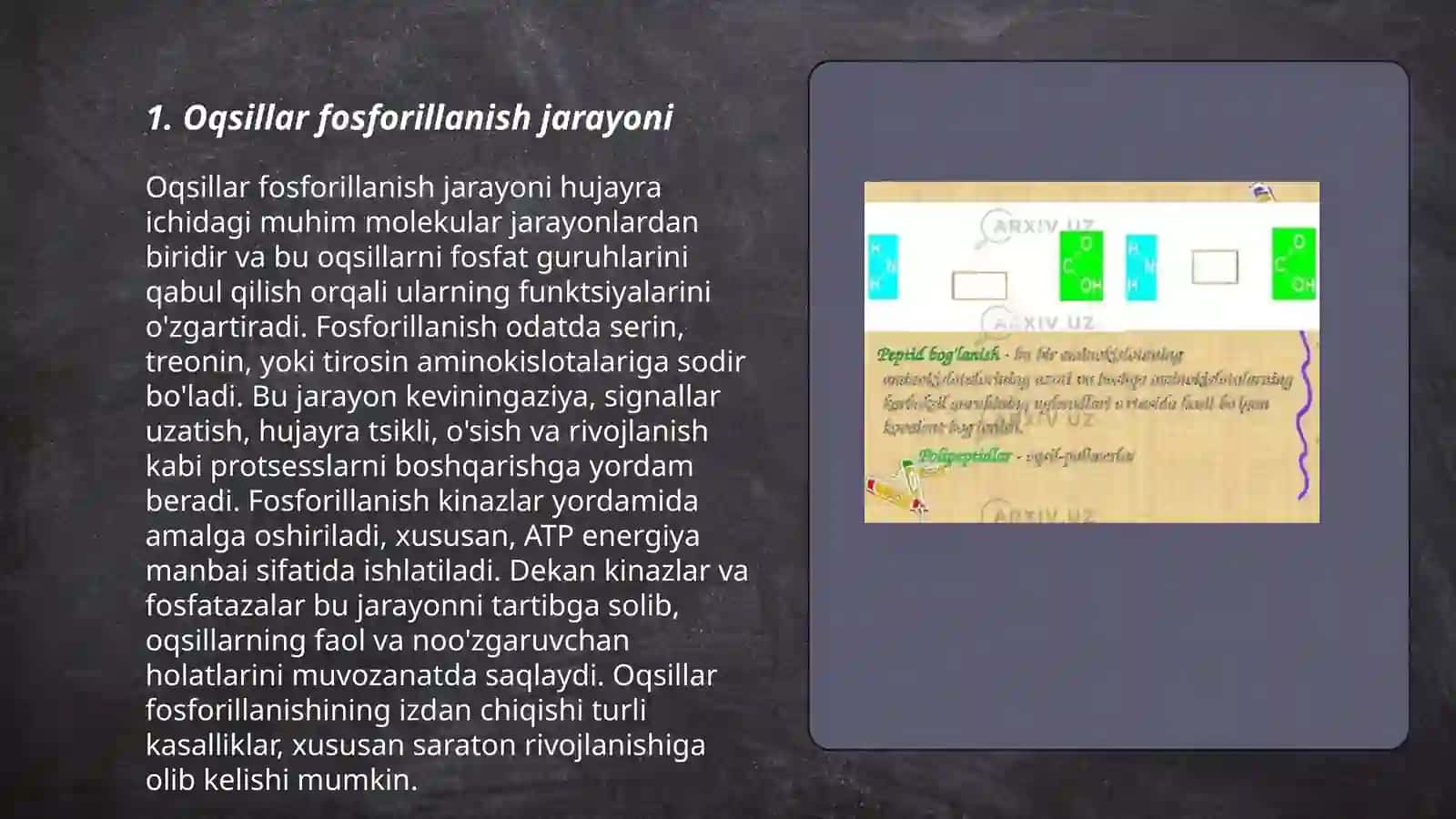 Oqsillar fosforillanish yetuk oqsillar faolligi modifikatsiyalanish sifatida protein knazalar,fosfotazalar 3