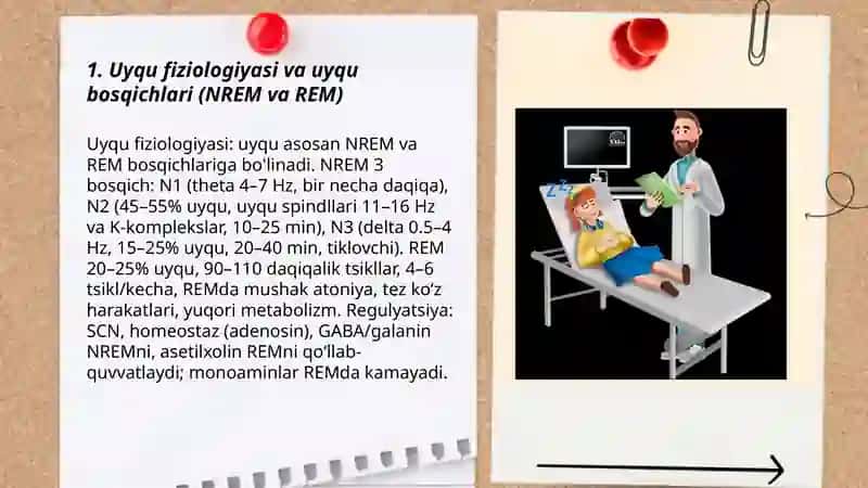 Somnologiya 3