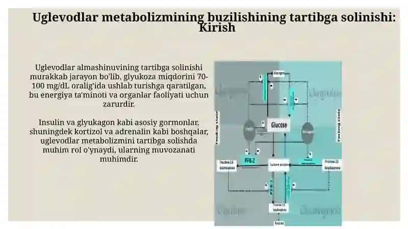 Uglevodlar almashinuvi boshqarilishining buzilishlari 3