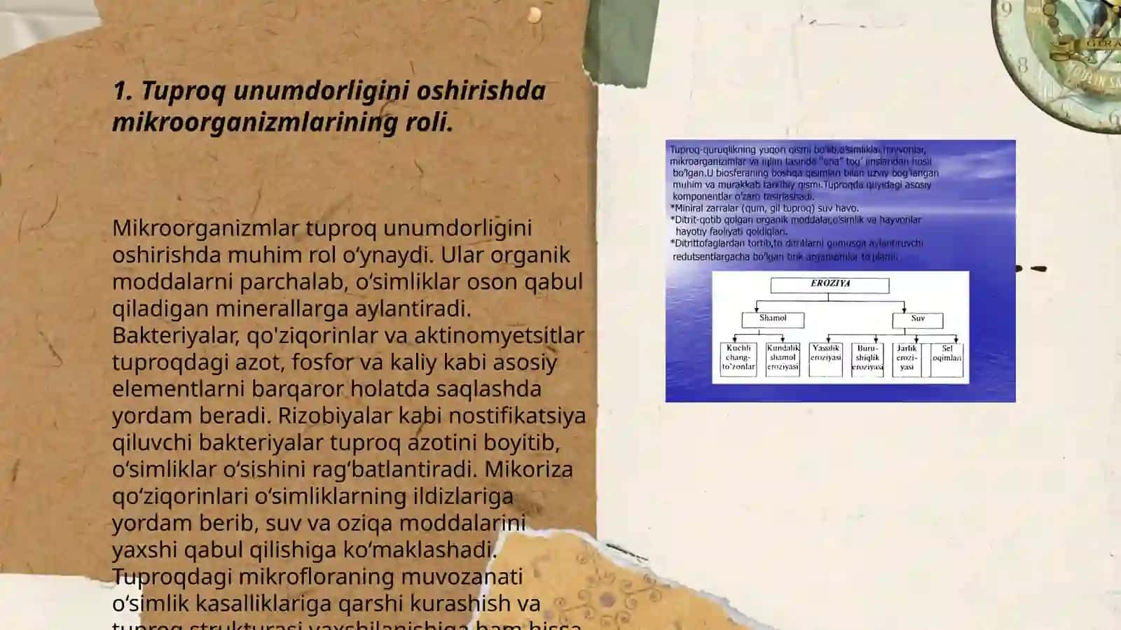 Bakteriologik oʻgʻitlar va ularning qoʻllanilishi 3