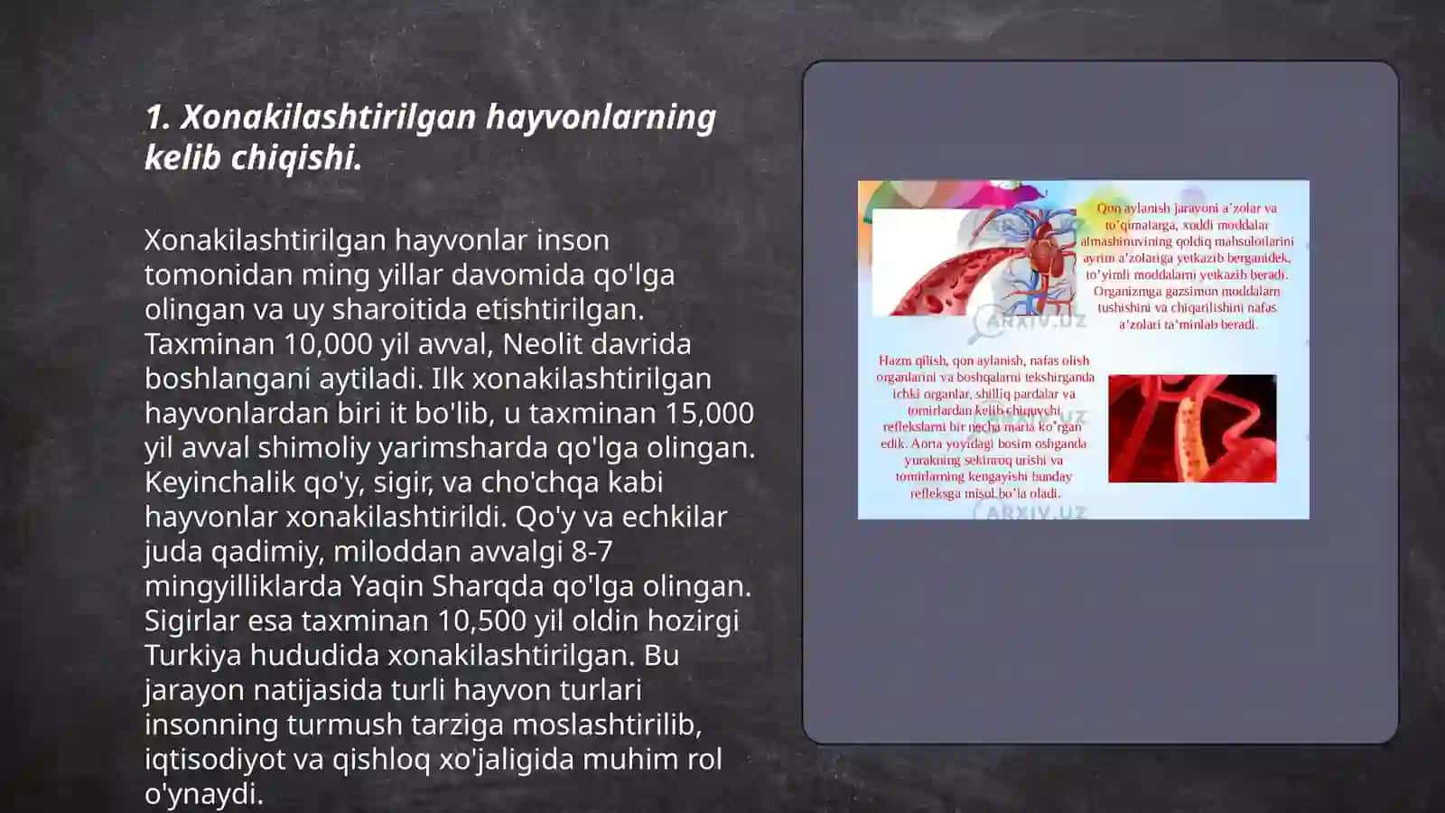 Xonakilshtirilgan hayvon, madaniy o'simliklarning xilma xiligi va kelib chiqishi 3