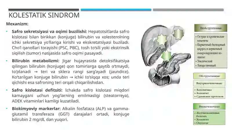 Jigar sindromlari va koma kelib chiqishi 3