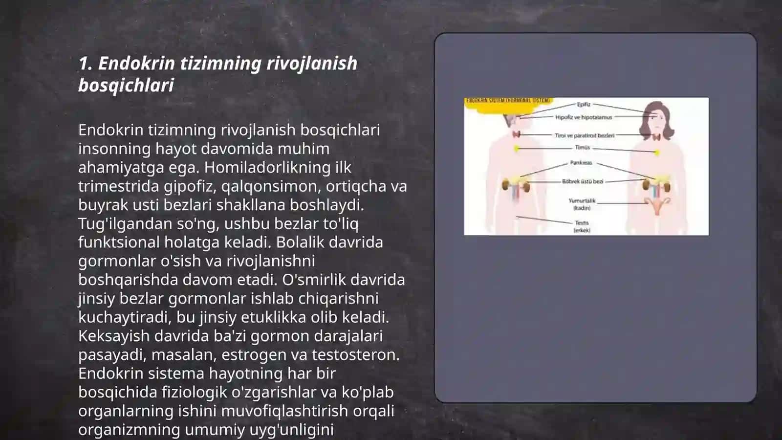 Endokrin tizimining onto-filogenezi 3