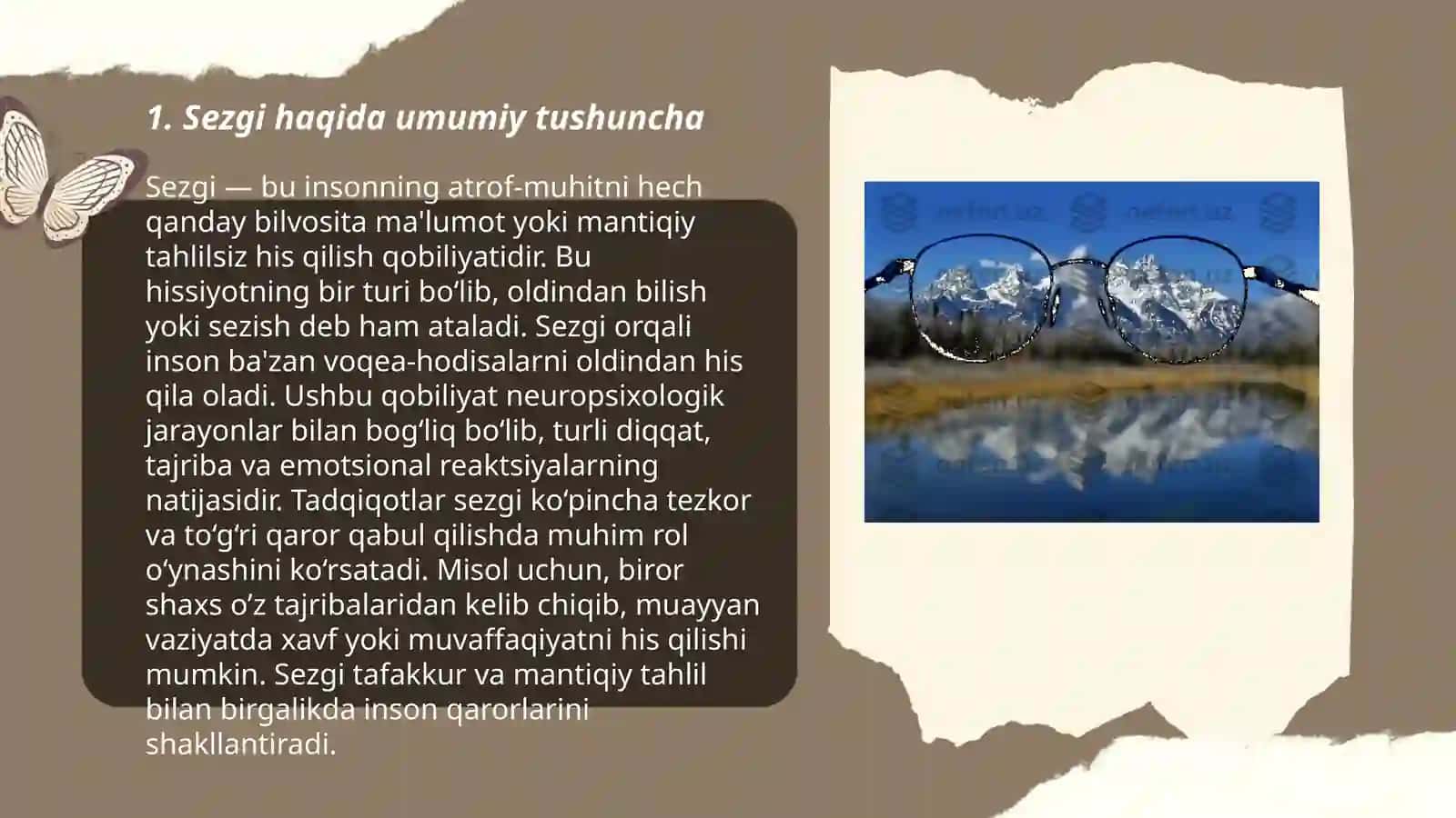 Sezgilarning tasnifi. Sezgilarning turlari. Sezgi sohasidagi qonuniyatlar 3