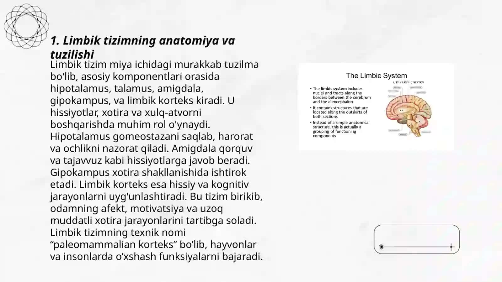 Limbik tizim va uning genezi 3