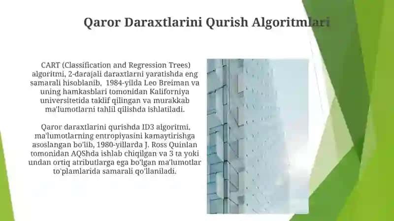 Qaror Daraxtlarini Qurish Algoritmlari 3