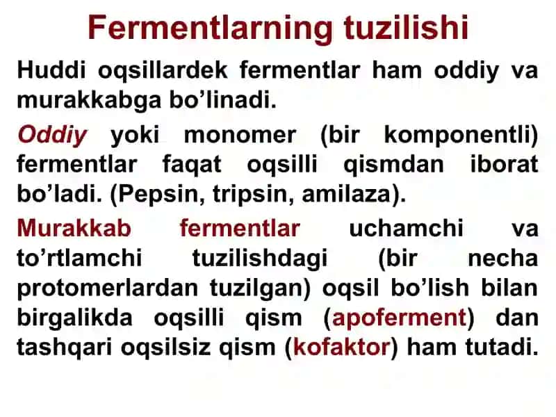 Fermentlar 3
