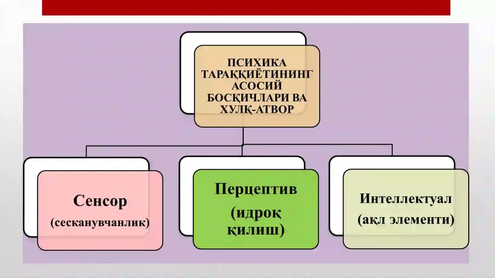 Психик акс эттириш 3