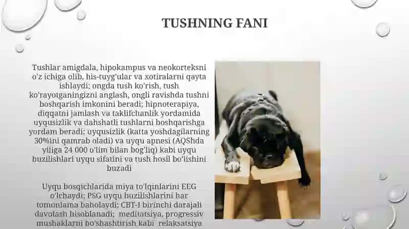 Uyqu tush ko'rish va gipnoz, uyqu gigiyenasi 3