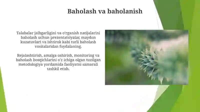 Botanikadan sinfdan tashqari ishlarini tashkil etish metodikasi 3