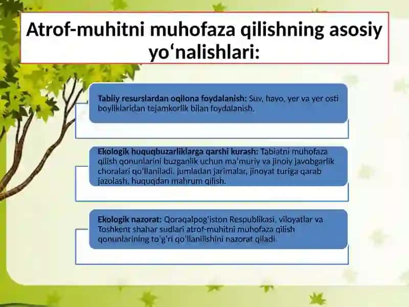 ATROF MUHITNI MUHOFAZA QILISH VA TABIATDAN FOYDALANISH SOHASIDA DAVLAT BOSHQARUVI 3