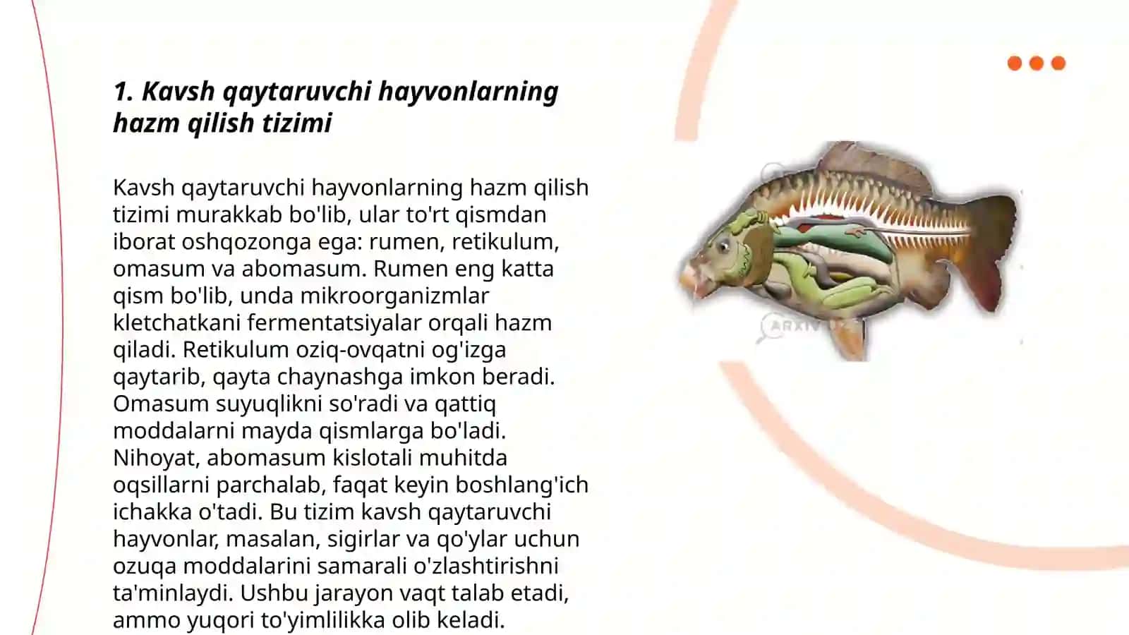 Kavsh qaytaruvchi hayvonlarni ozuqasini hazm boʻlishi 3