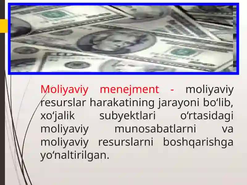 Moliyaviy menejmentning iqtisodiy mohiyati, predmeti va funksiyalari 3