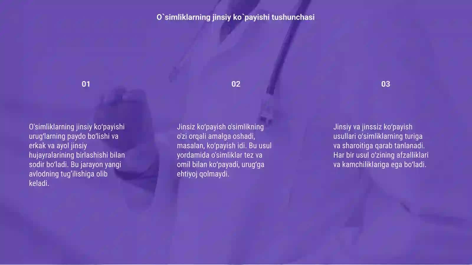 O`simliklarning jinsiy va jinsiz ko`payishi 3