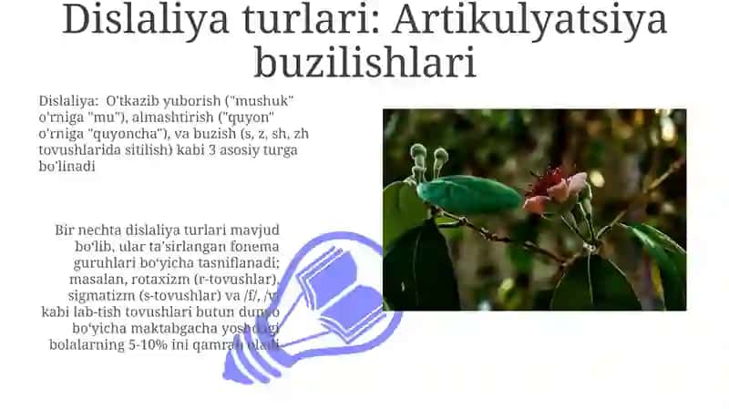 Dislaliya turlari sabablari va uni bartaraf etish turlari 3