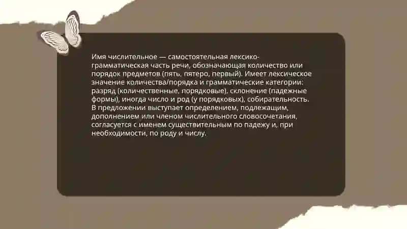 Лексико грамматической разряды имя числительный 3