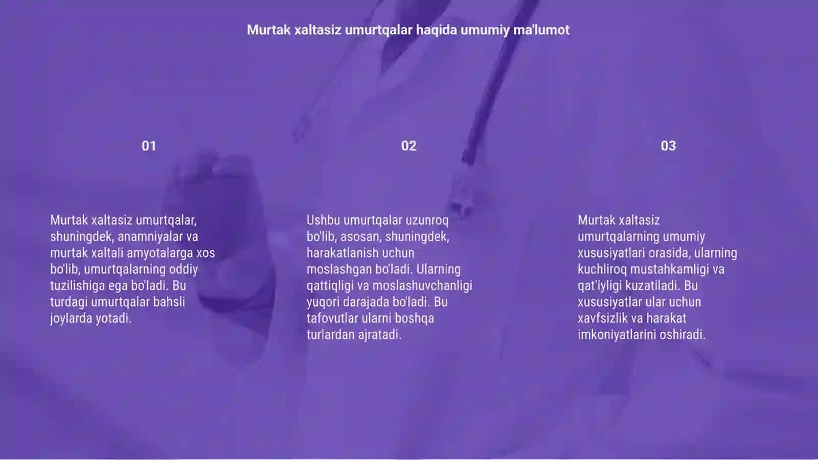 Murtak xaltasiz umurtqalar 3