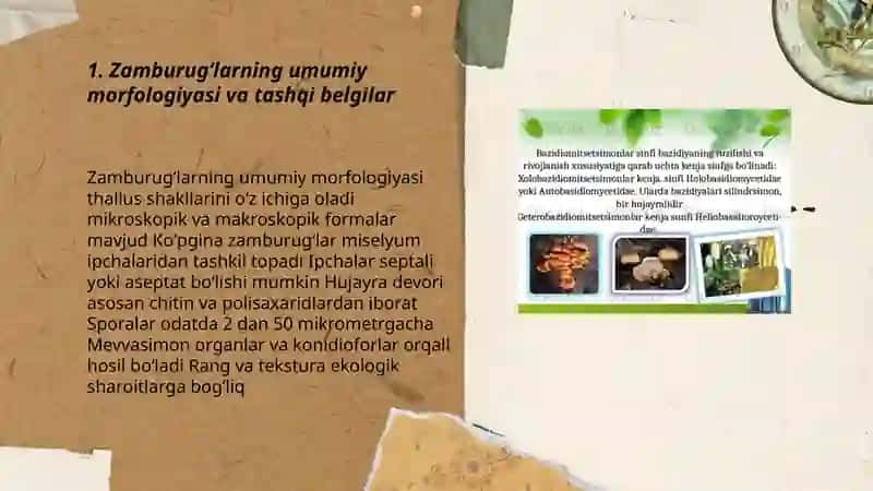Zamburugʻlar ularning morfologik strukturasi va ularning o'rganish usullari 3