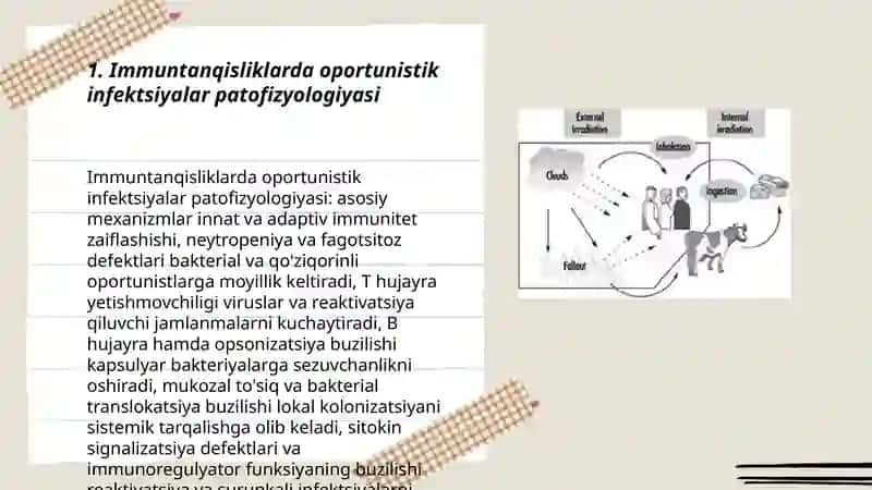 Immuntanqisliklarda oportunistik infektsiyalar patofizyologiyasi 3