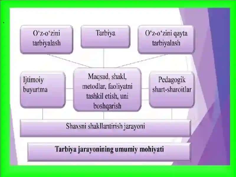 Talabalarning mustaqil ishlarini tashkil etish 3