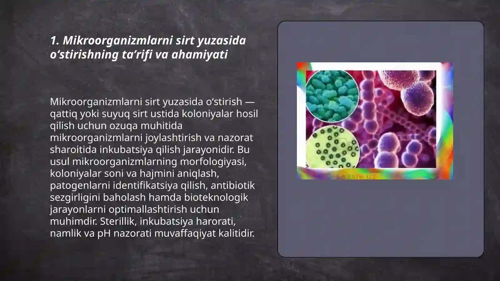 Mikroorganizmlarni sirt yuzasida oʻstirish jarayoni 3