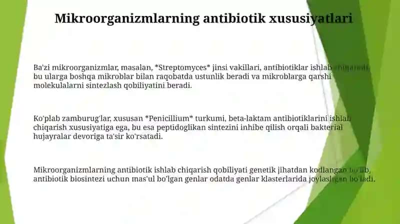 Mikroorganizmlarning antibiotik xususiyati 3