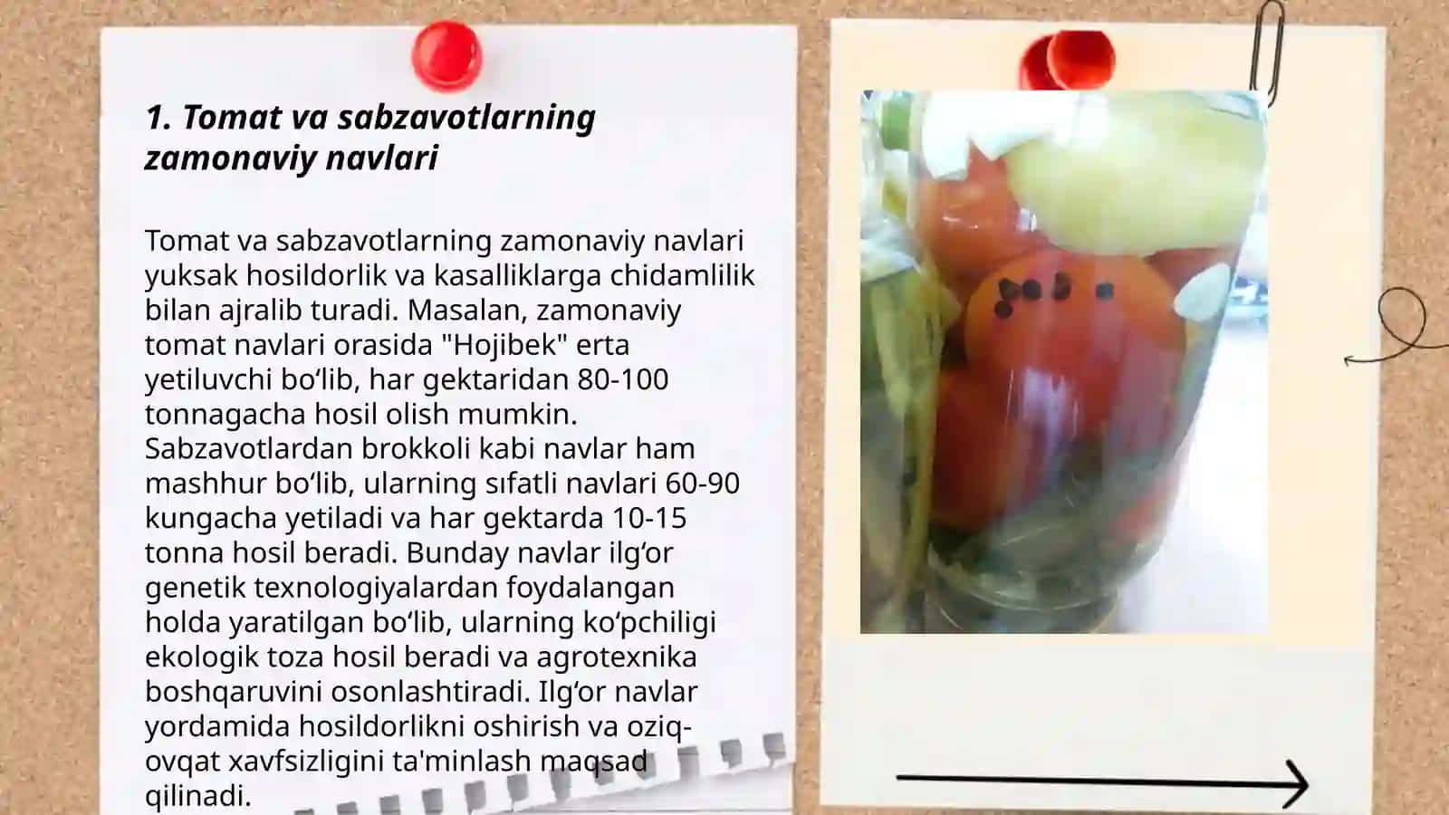 Tomatdosh sabzavot ekinlarini zamonaviy texnologiya asosida yetishtirish 3
