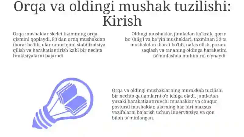 Orqa va old mushaklar tuzulishi 3
