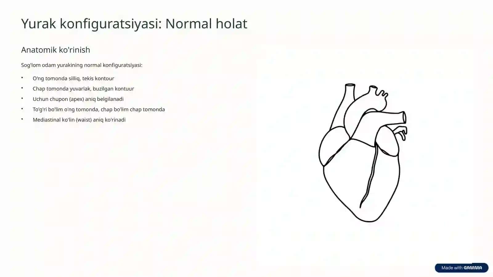 Yurak perkussiyasi 3