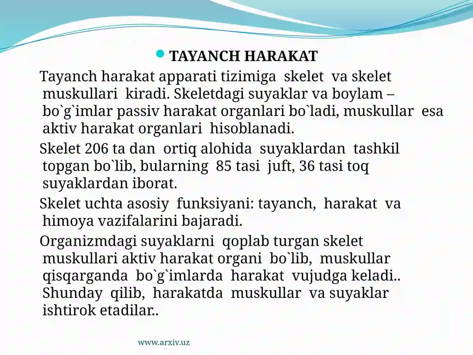 Tayanch harakat tizimi ning yoshga oid fiziologiyasi 3