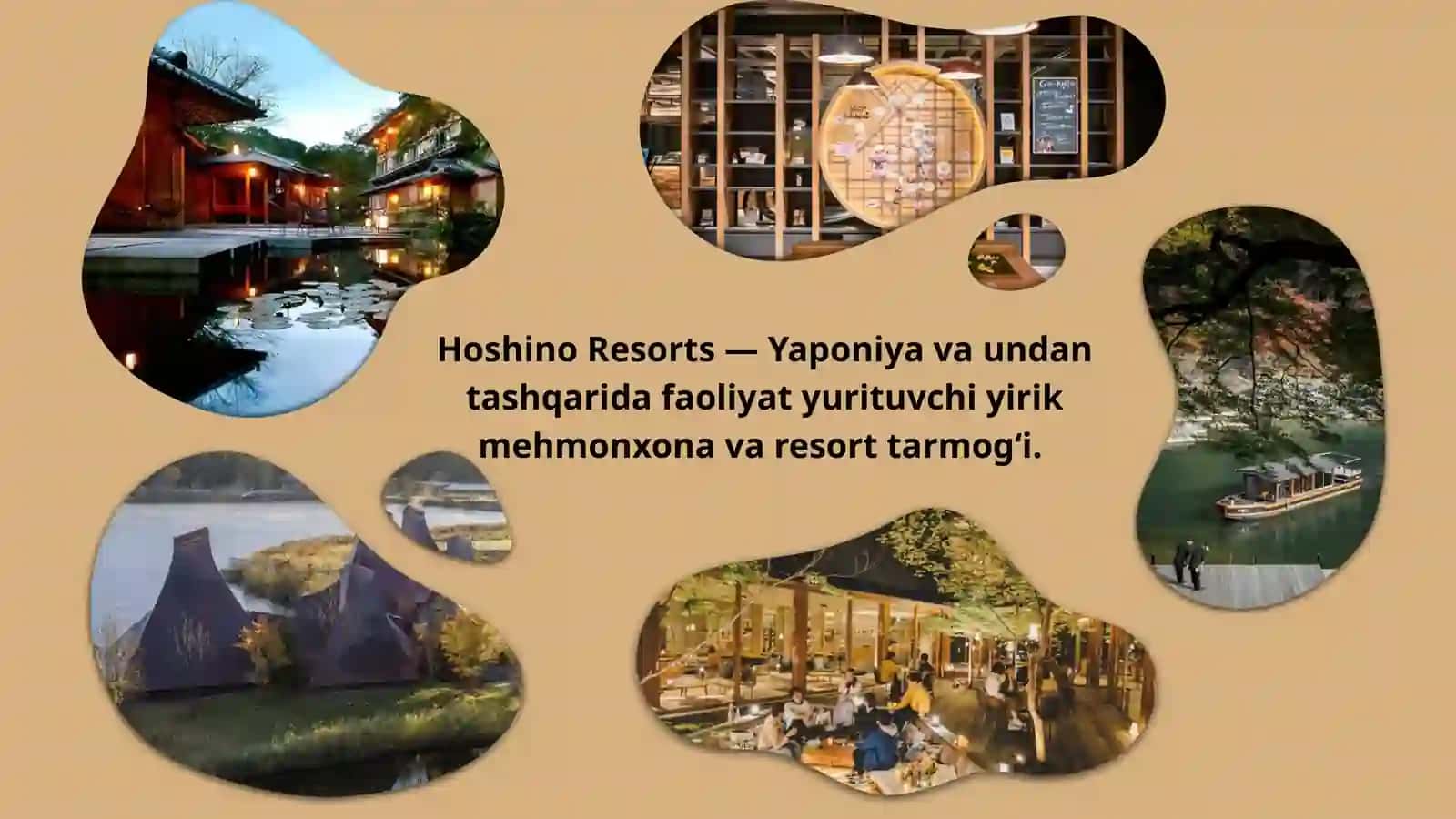An'anaviy yapon mehmonxonasi 3