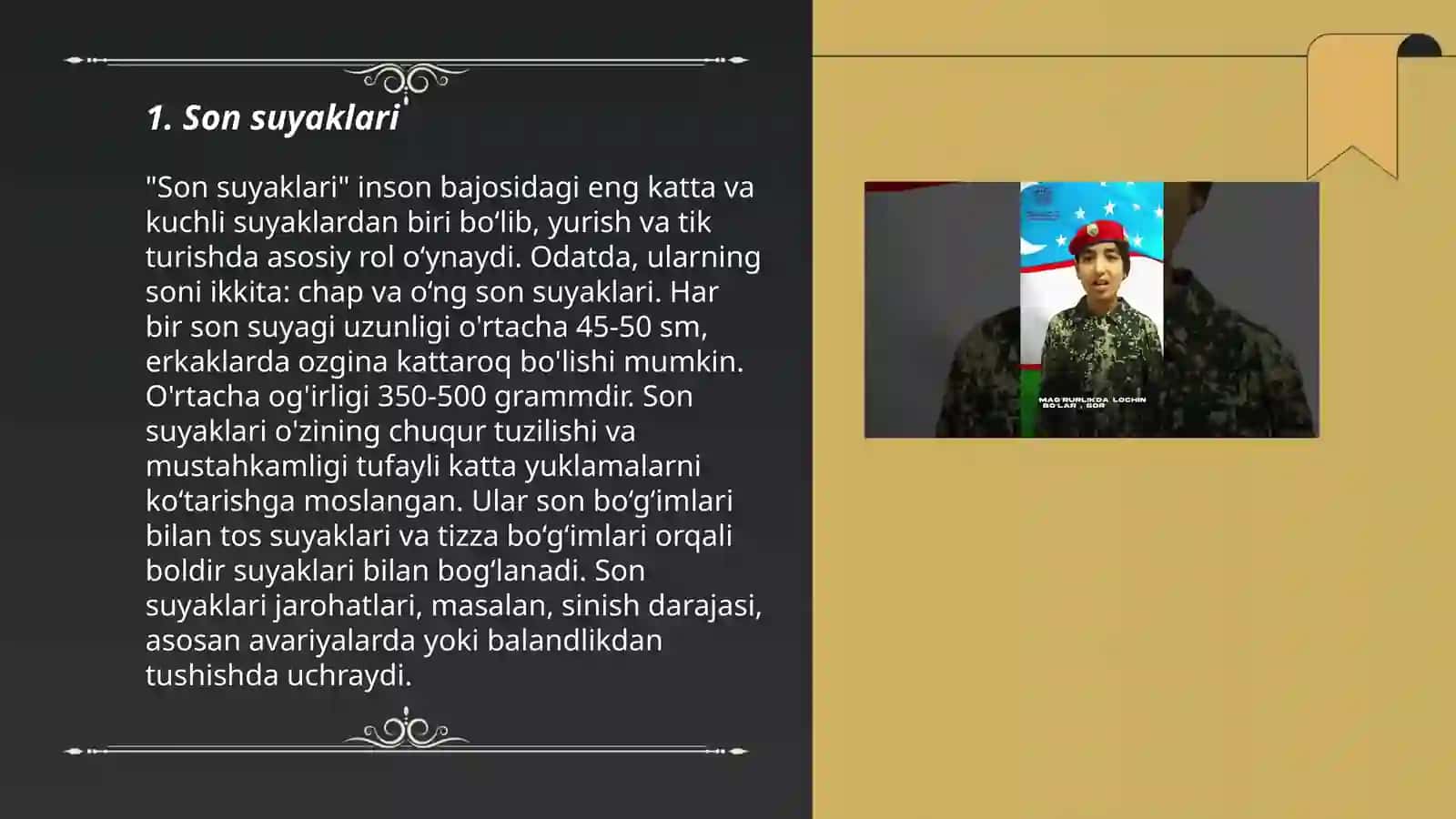 Son suyaklari 3