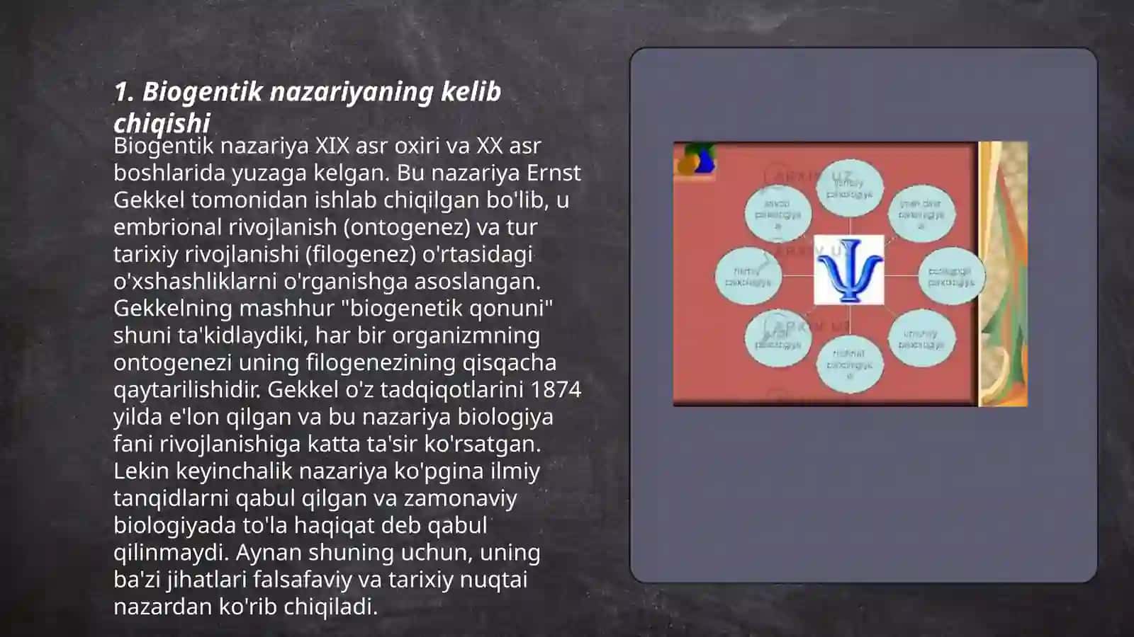 Rivojlanishning biogentik nazariyasi 3