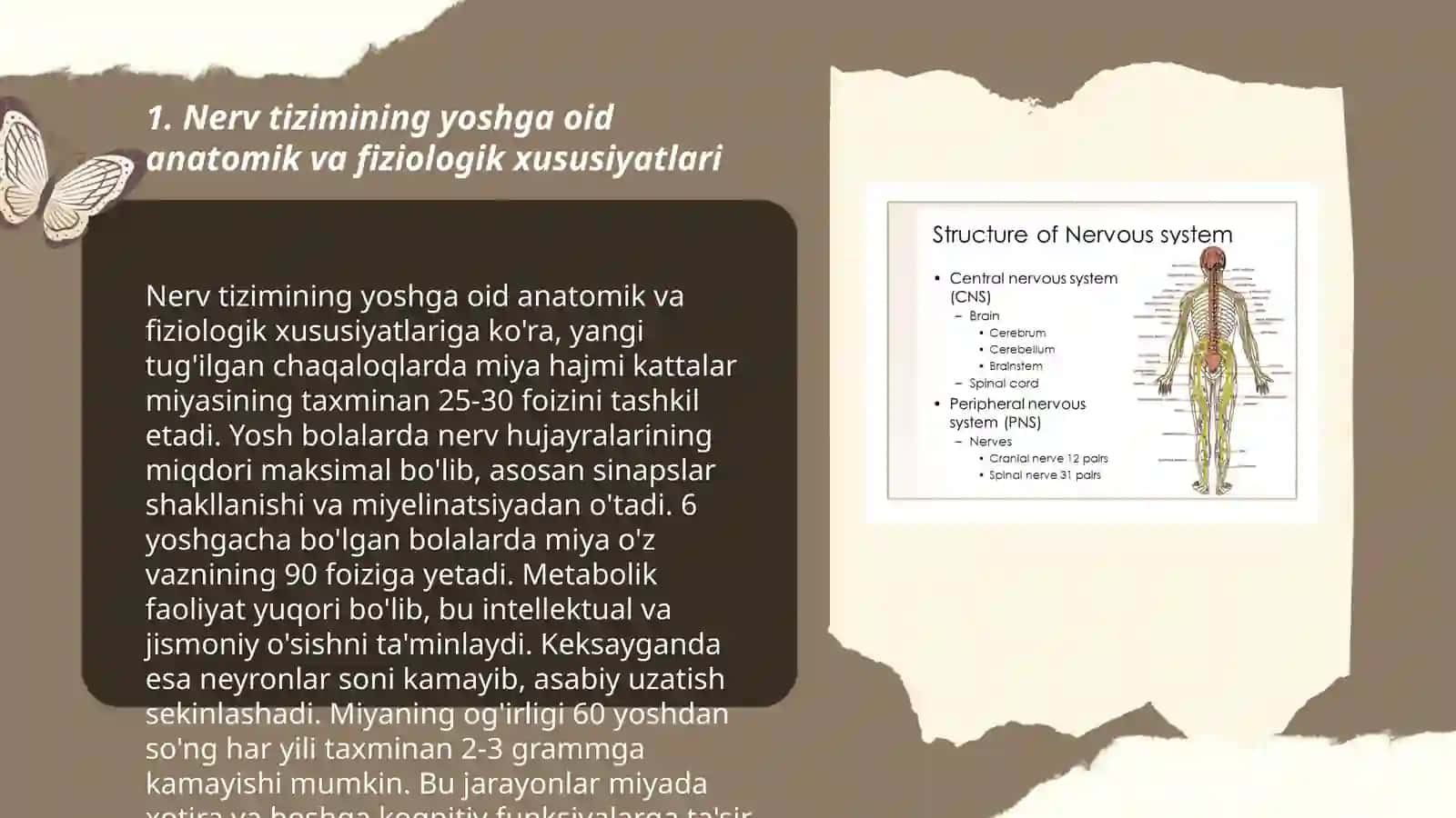 Nerv tizimining yoshga doir umumiy fiziologiyasi va gigiyenasi 3