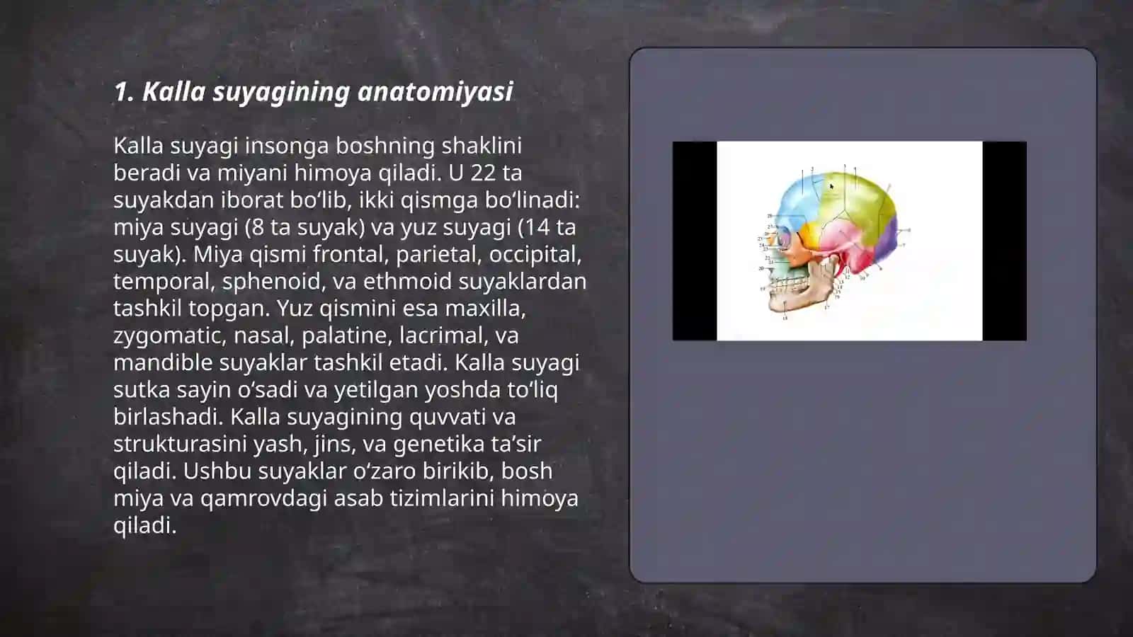 Kalla suyaklarini tahlil qilish va tepa suyagini tahlil qilish 3