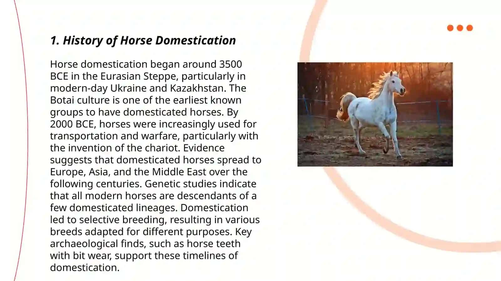 Horse 3