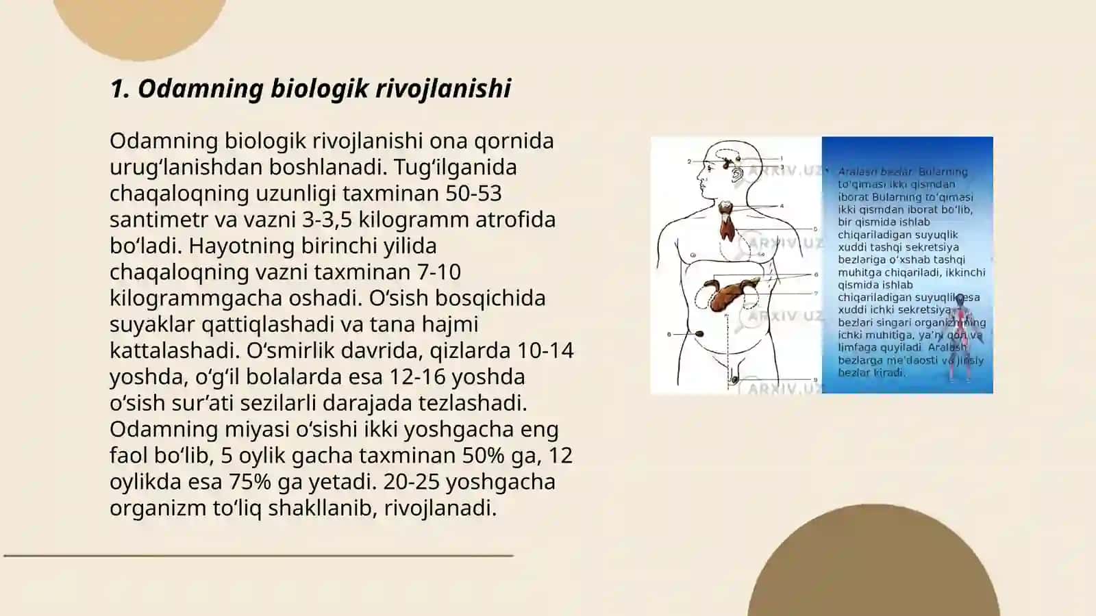 Odamning o'sishi va rivojlanishi qonunyatlari 3