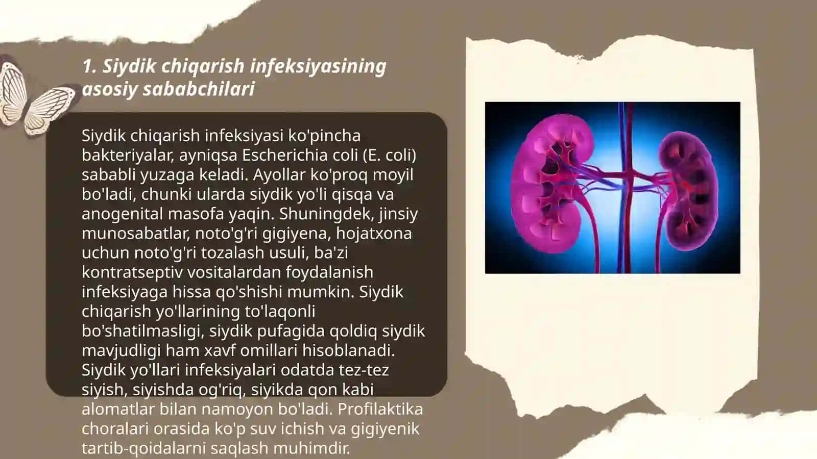 Siydik chiqarish infeksiyasi 3