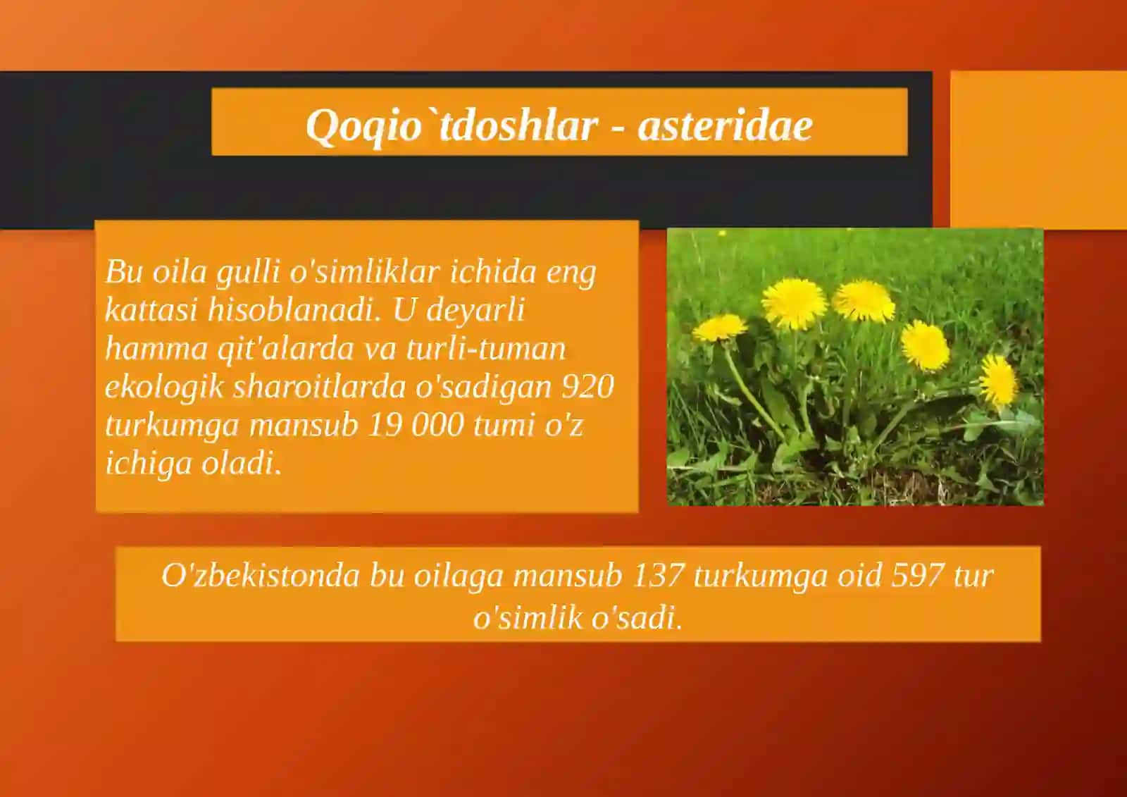 BIOLOGIYA TA’LIM YO’NALISHI (SIRTQI) 3