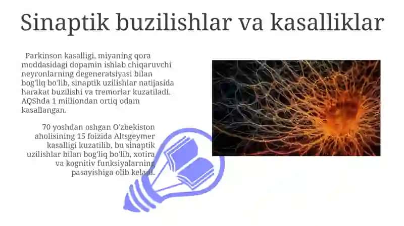 Sinapslar va sinaptik jarayonlar 3