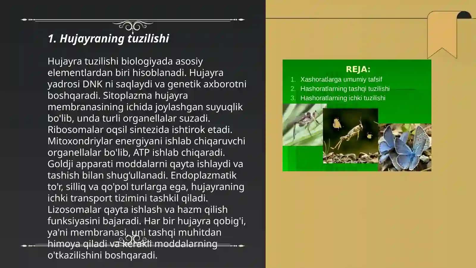 Hujayra fiziologiyasi 3