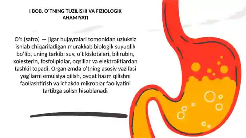 : O‘tning hosil bo‘lish jarayoni va ovqat hazm qilishdagi ishtiroki 3