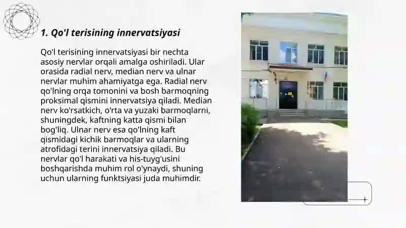 Qo'l va oyoq terisining inervatsiyasi 3
