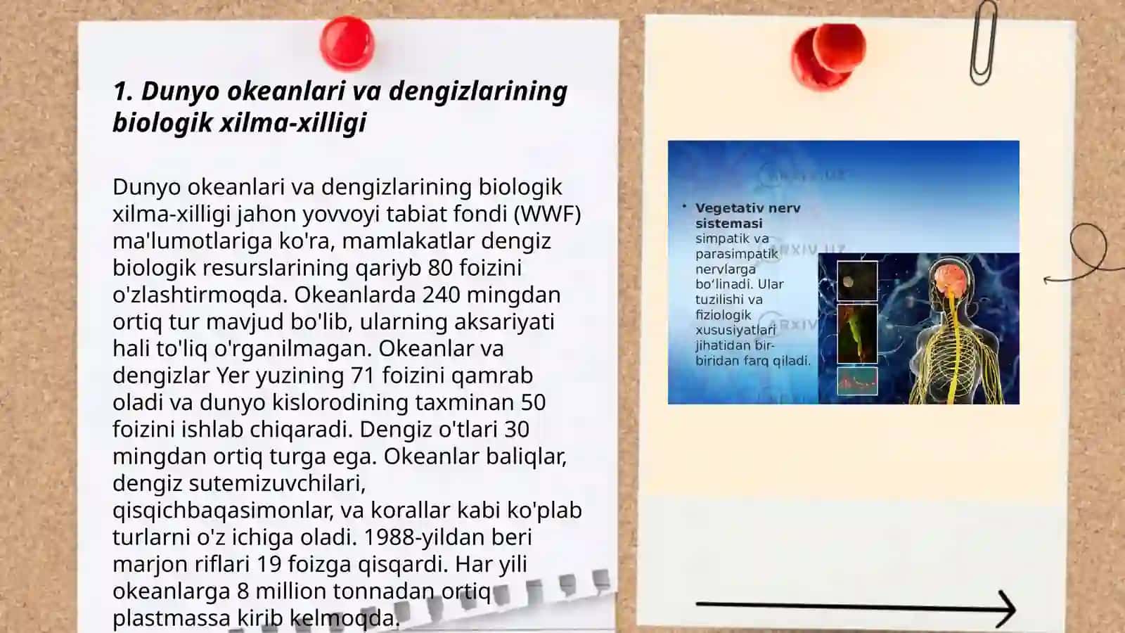 Dunyo okeani va dengizlarning organizmlari va biologik tuzilish qonunlari 3