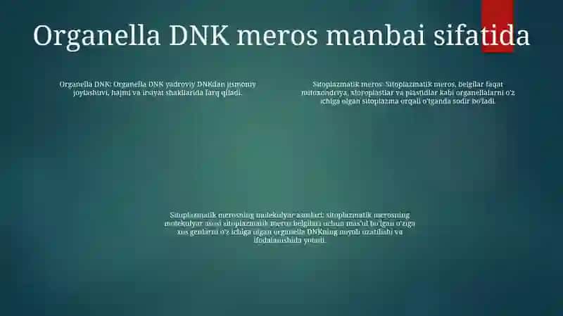 Sitoplazmatik Irsiylanishning Malekulyar Asoslari 3